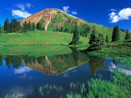 Alpine Pond - alpine pond, colorado, cool, picture, gunnison national forest