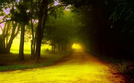 Road To... - autumn, landscape, trees, peaceful, roads, colorful, road, other, nature, forest, yellow, beautiful, fog, colors, naute, grass