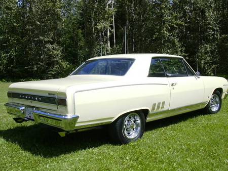 1965 Pontiac Beaumont Acadian Sport Deluxe - beaumont, rare, car, pontiac