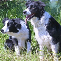 Bonnie and Eik waiting for the go