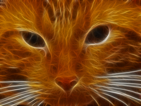 Cat - wallpaper, animals, cool, cat, art