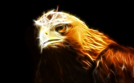 Eagle  - eagle, wallpaper, animals, cool, art