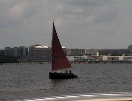 Sailing away - sail boat, water