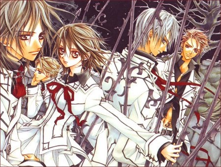 Vampire Knight Manga - manga, yuuki, anime, zero, vampire knight manga, vampire knight