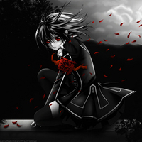 Vampire Knight Yuki Cross