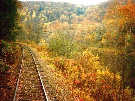 autumn -rail - abstract, iran, majeed, rail