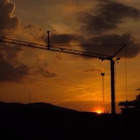 Crane in the Sunset