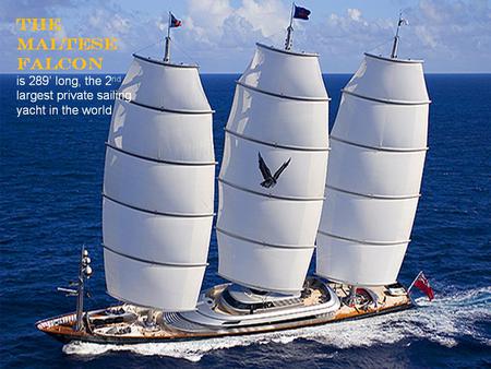 Maltese Falcon - privately owned, 2nd, sails, yacht