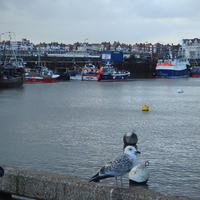 Bridlington harbour