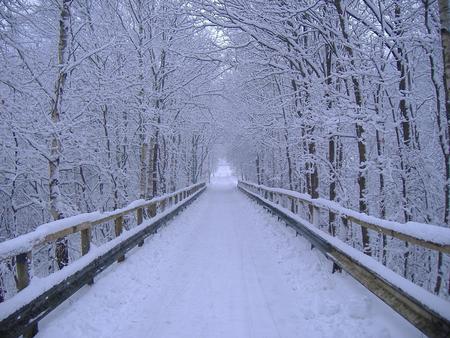 Winter_Scene - winter-scene, cool, picture