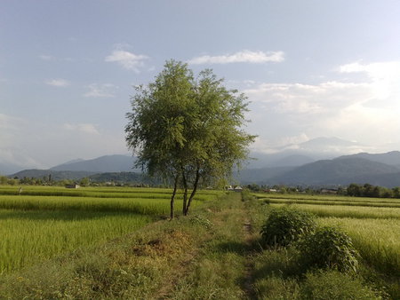 nature - nature, iran, view, majeed