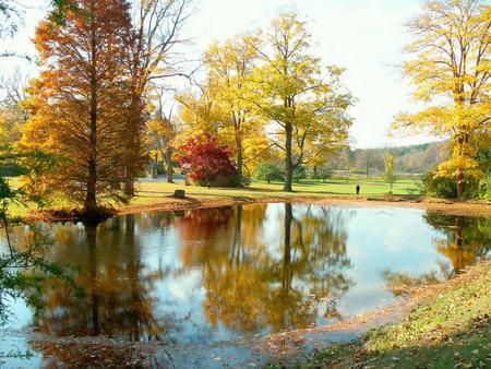 A PEACEFUL SERENE PLACE FOR A PICNIC