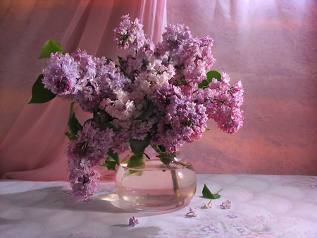 Beautiful - vase, water, sheer, beautiful, lilacs, petals, still life, curtain, satin, purple