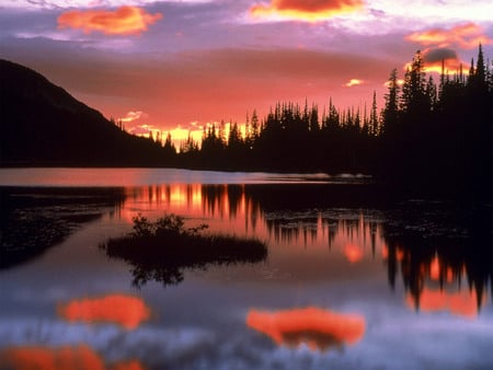 Reflection Lake at Sunrise, Mount Rainier National Park, Washington - scenery, rivers, sunlights, scene, scenario, pink, scarlat, land, trunks, plants, nice, amber, sunrises, pond, paysage, gold, natural, wonderful, declive, paisage, nature, brightness, green, bay, hills, yellow, blue, ref, amazing, photo, sunsets, downhills, leaves, scarlet, forests, mirror, red, golden, violet, sky, clouds, branches, trees, water, beautiful, photography, photoshop, morning, cool, orange, ambar, paisagem, black, cenario, islands, awesome, lagoons, panorama, cena, leaf