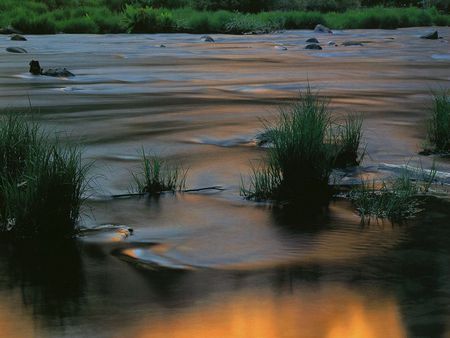 Natural Reserve - national, scenery, rivers, wood, brown, scene, scenario, national parks, land, trunks, plants, nice, amber, pond, gold, colors, natural, stones, grasslands, nature, gray, green, clear, lakes, waterscape, yellow, blue, amazing, landscape, grass, forest, photo, swell, creeks, leaves, reserve, natural reserve, wawes, golden, trees, beautiful, photography, photoshop, cool, orange, rapids, ambar, colorful, awesome, lagoons, panorama, leaf, environment, park, rocks