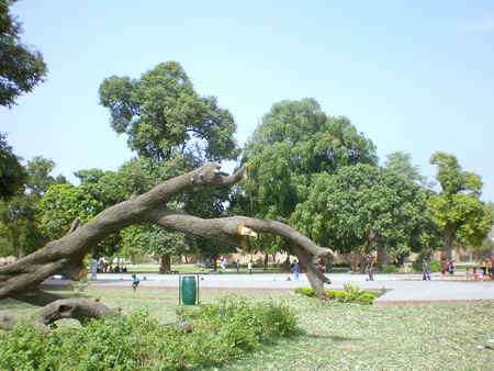 Shalimar garden ,Lahore - architect, ancient