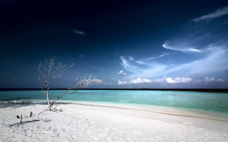 Desert beach - beach, ocean, landscape, beautiful, water