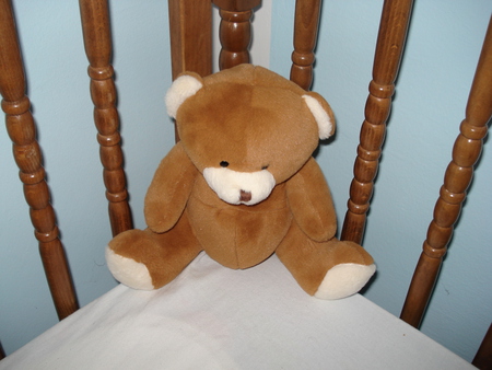 lonely bear - toy, bear