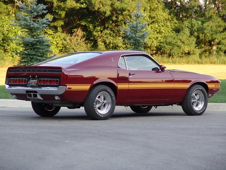 1969 Shelby GT350 - gt, shelby, mustang, classic