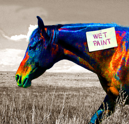 causion wet paint - colorful, art, rainbow, horse