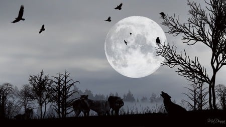 Wolves Enchantment - moon, sky, mystical, widescreen, wolves, wolf, firefox persona, haunting, birds