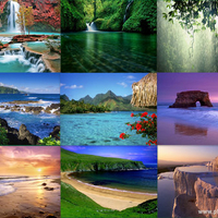 collage of beautiful nature