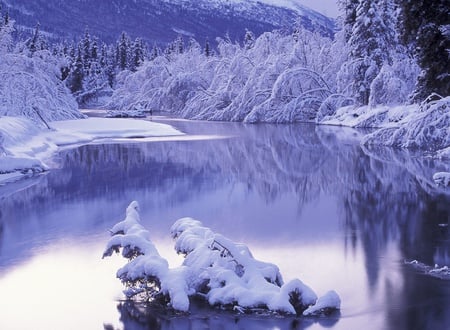 Ostrov River - scenery, rivers, scene, snow, scenario, widescreen, land, trunks, plants, seasons, nice, pond, paysage, frozen, pines, ice, white, paisage, mounts, prague, background, lakes, bay, ostrov, reflections, amazing, landscape, photo, creeks, leaves, mirror, branches, trees, winter, water, beautiful, photography, photoshop, reflected, cool, peaks, icy, paisagem, awesome, lagoons, panorama, cold, slovakia, leaf, mountains