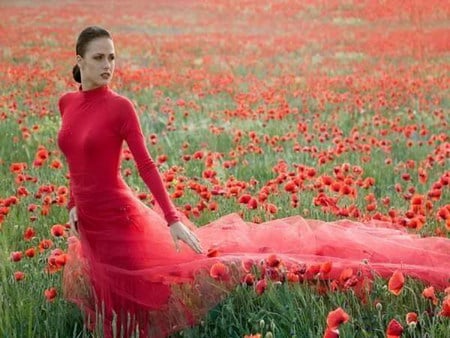 poppy dream - field, poppy, red, dress