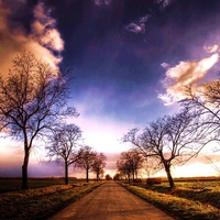 Journey of serenity