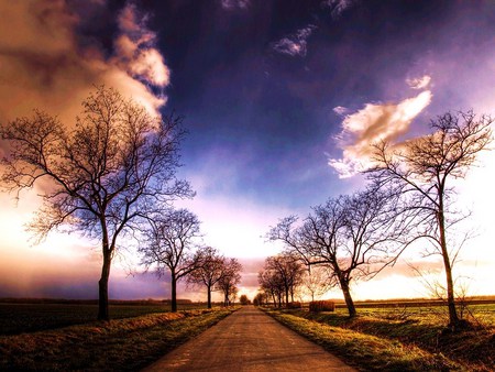 Journey of serenity - clouds, trees, border, country, pathway, tall, sky