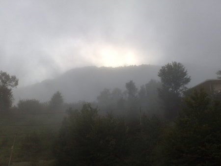 fog - iran, fog, majeed, nature