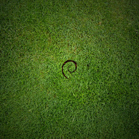 Debian Grass