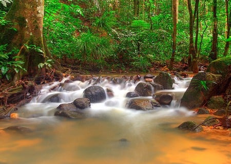 Foaming Water - waterfalls, scenery, rivers, brown, scene, scenario, land, plants, nice, moss, paysage, beauty, fullscreen, natural, stones, wonderful, white, paisage, nature, gray, green, background, lakes, wallpaper, waterscape, cascades, yellow, foam, amazing, landscape, photo, creeks, leaves, forests, wonderfall, trees, water, beautiful, photography, falls, photoshop, cool, orange, paisagem, black, cenario, foaming, awesome, lagoons, panorama, cena, leaf, rocks