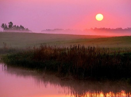 Foggy Sunrise