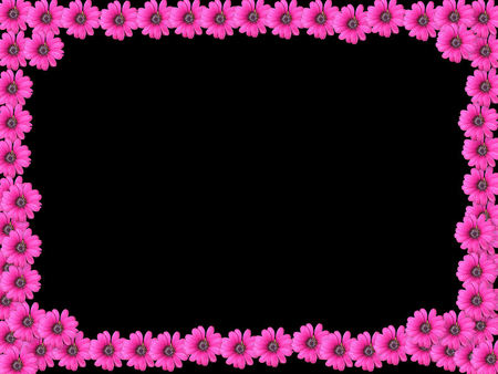 framed - flowers, dark, pink, frame