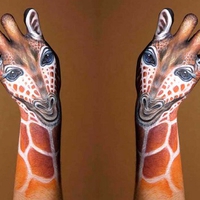 giraffes