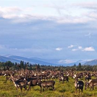 Kobuk Valley National Park
