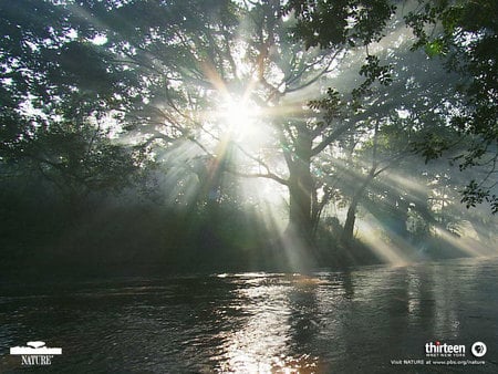 nature - iran, nature, majeed