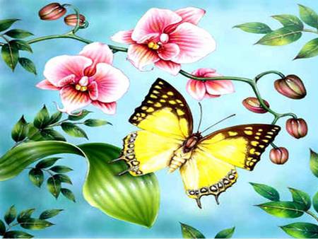 Spring Butterflys - flowers, spring, leaves, butterfly