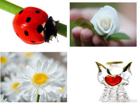 summer love - collage, angel, flower, ladybug