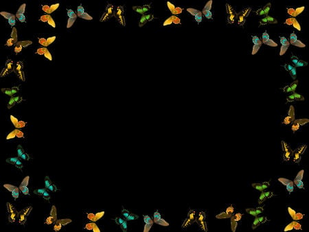 butterflies at night - colors, butterfly, dark, evening