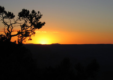 Sunset - beautiful, orange, sunsets, tree, black, sunset, nature, sun, sky