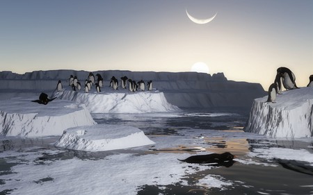 THE WATER TESTER - ice, artic, water, penguins, sun, sky