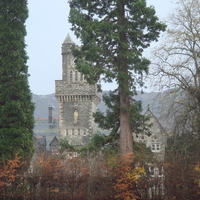 Abbey with Scots Pine