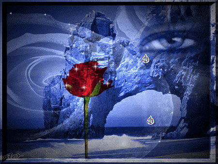 tears of a rose - tears, girl, blue, red, sea, rose