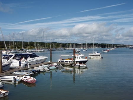 Medina Moorings - moorings, calm, sunshine, solent