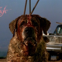 Cujo