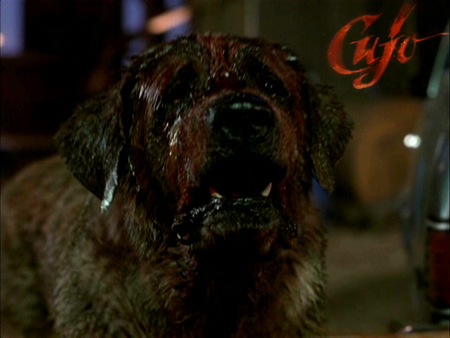 Cujo - movie, horror, dog, cujo