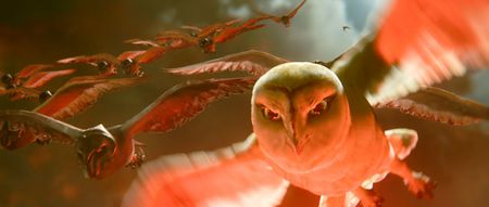 Legend of the Guardians: The Owls of Ga'Hoole - legend, guardians, movie, owls, novel, soren, owl