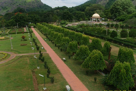 Deserted courtyard - deserted, trees, greenery, silent, path, courtyard, quiet, green, tree